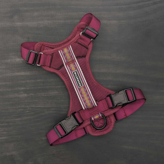 Dog Harness