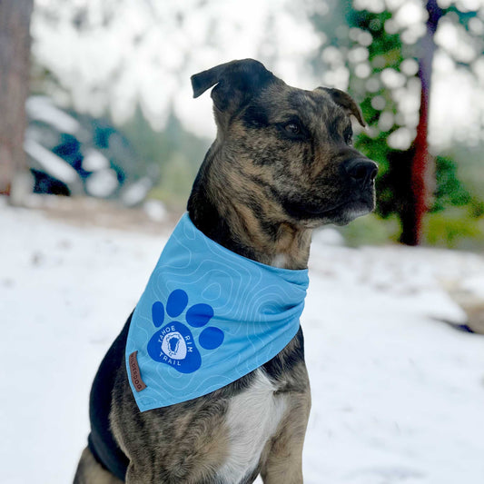 Tahoe Rim Trail Association Bandana