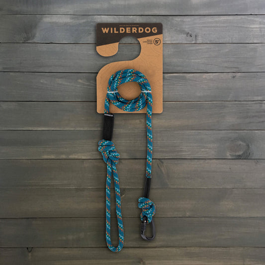 Pacific Blue Small Carabiner Reflective Leash