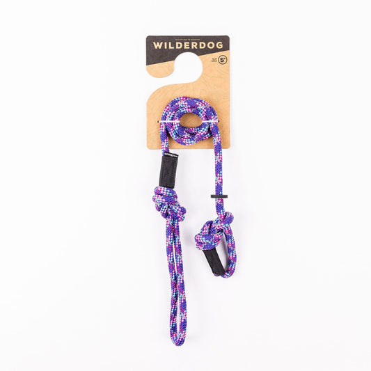 Razzleberry Reflective Slip Lead