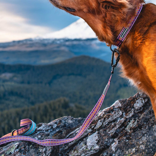Daybreak Ultralight Leash