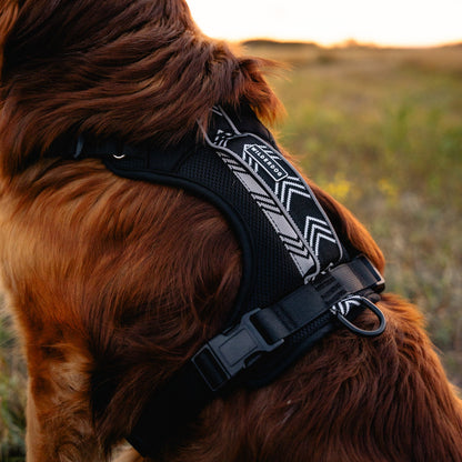 Dog Harness
