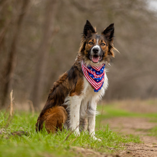 Americana Bandana
