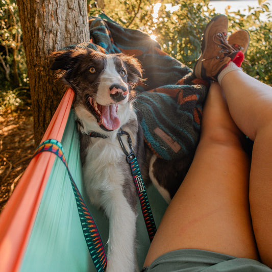 Marina Ultralight Leash