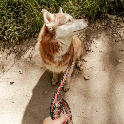 Rainbow Ultralight Leash