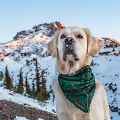 Tartan Plaid Bandana