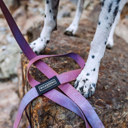 Aurora Waterproof Leash