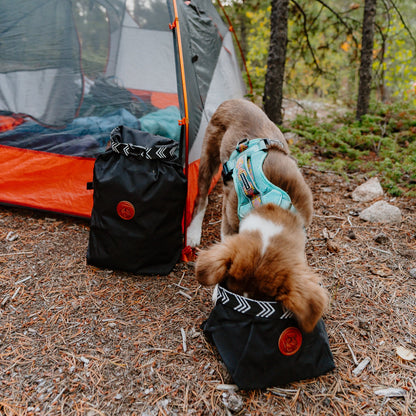 Backpacking Bowl