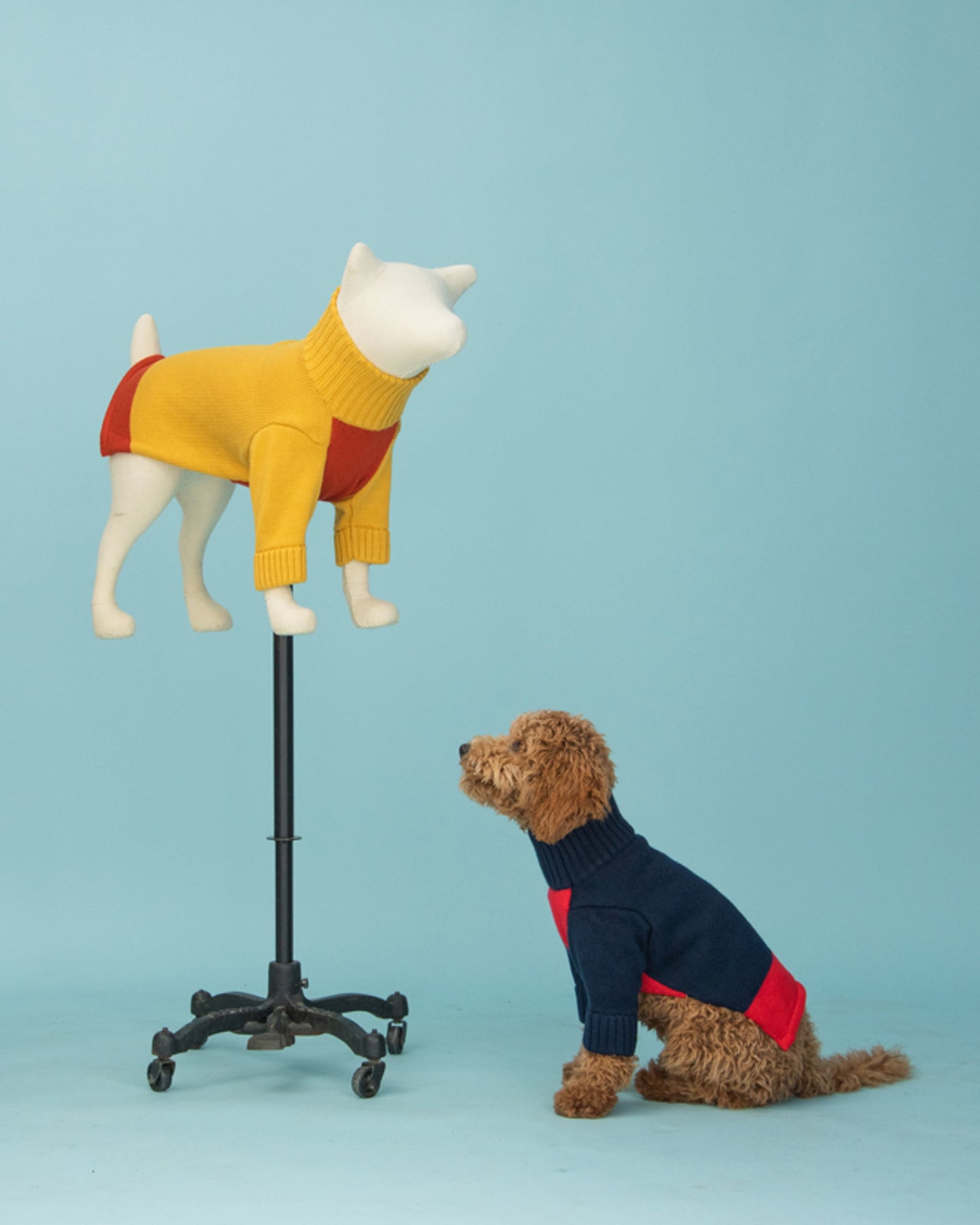 Rugby Sweater