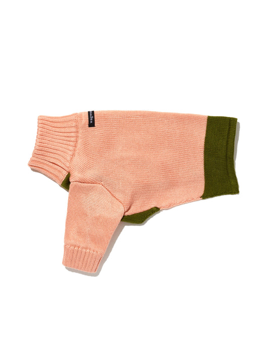 rugby dog sweater in pink and green