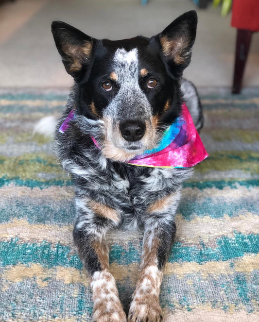 Tie-Dye Bandana