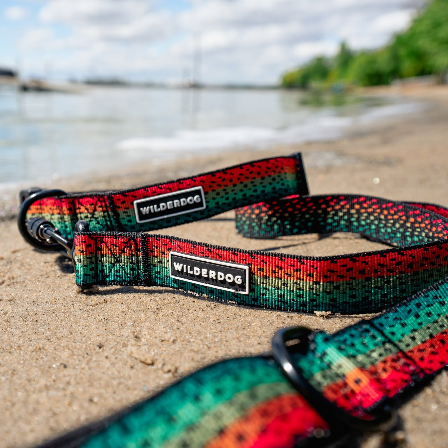 Trout Ultralight Collar