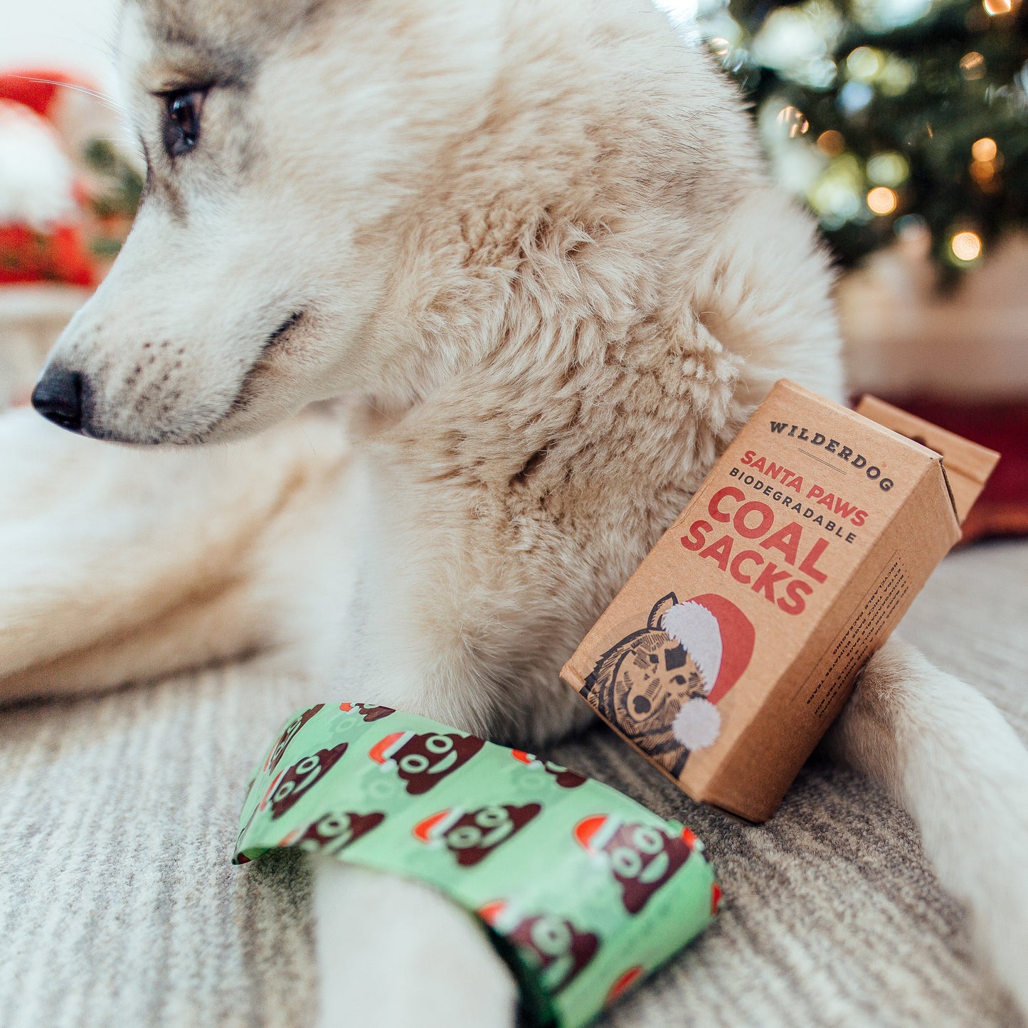 Santa Paws Poop Bags