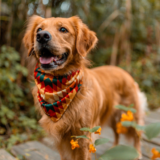 Russet Bandana