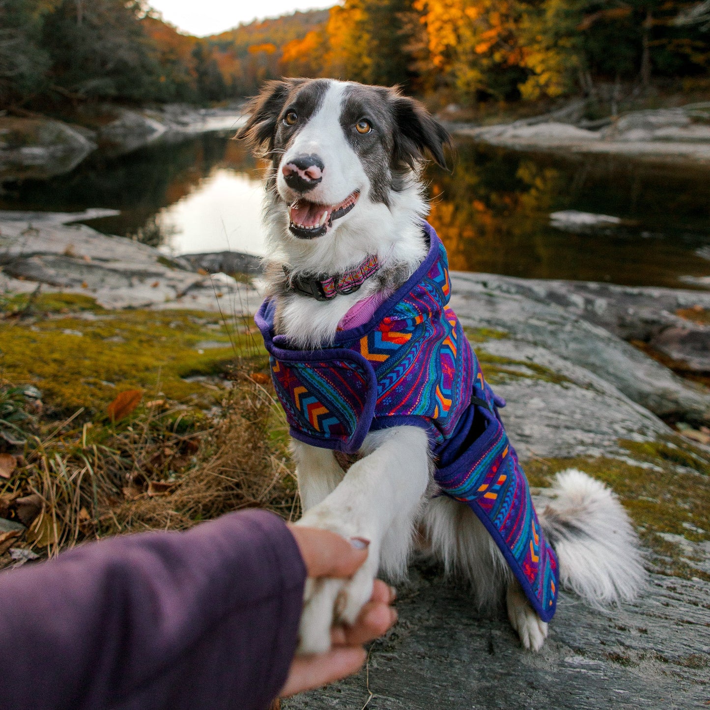 Big Sky Fleece Jacket