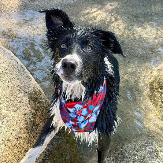 Aloha Bandana
