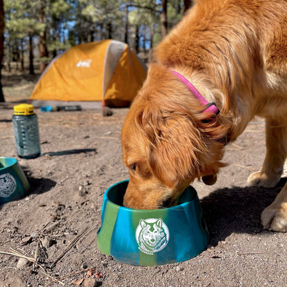 Foldable Silipint Dog Bowl